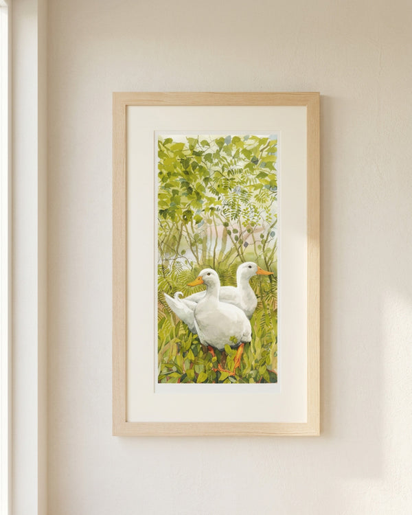 Aylesbury Ducks Art Print Framed Limited Edition