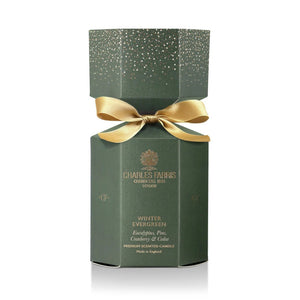 Winter Evergreen Christmas Cracker Candle
