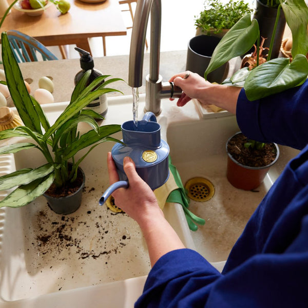 Fazeley Flow Bluebell Meadow Watering Can 1 Pint