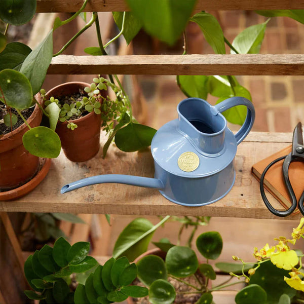 Fazeley Flow Bluebell Meadow Watering Can 1 Pint