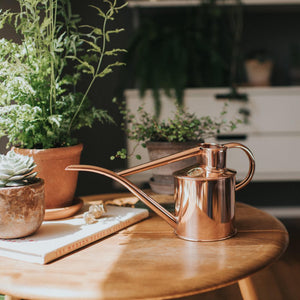 Fazeley Flow Copper Watering Can 2 Pint