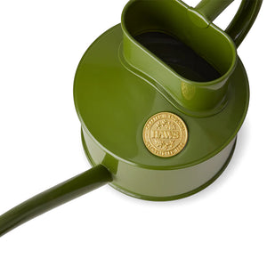Fazeley Flow Fern Green Watering Can 1 Pint