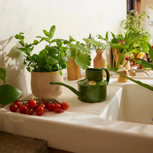 Fazeley Flow Fern Green Watering Can 1 Pint