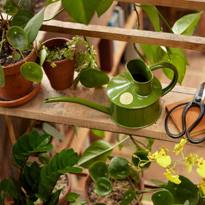 Fazeley Flow Fern Green Watering Can 1 Pint