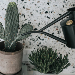 Fazeley Flow Graphite Watering Can 2 Pint