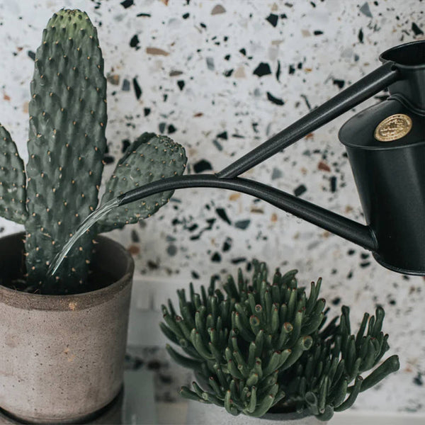 Fazeley Flow Graphite Watering Can 2 Pint