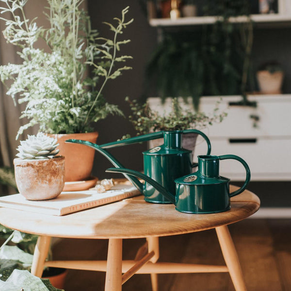 Fazeley Flow Green Watering Can 2 Pint