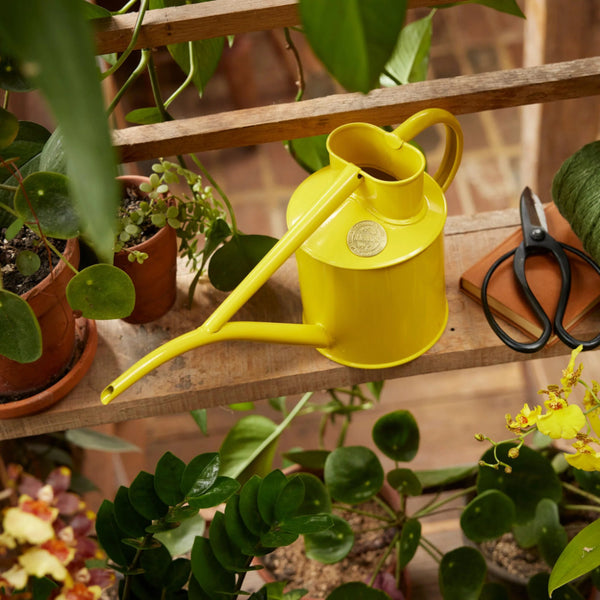 Fazeley Flow Lotus Yellow Watering Can 2 Pint