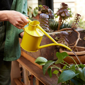 Fazeley Flow Lotus Yellow Watering Can 2 Pint
