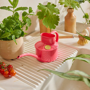 Fazeley Flow Peppercorn Pink Watering Can 1 Pint