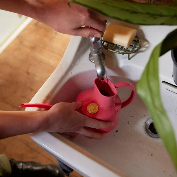 Fazeley Flow Peppercorn Pink Watering Can 1 Pint