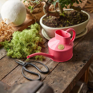 Fazeley Flow Peppercorn Pink Watering Can 1 Pint