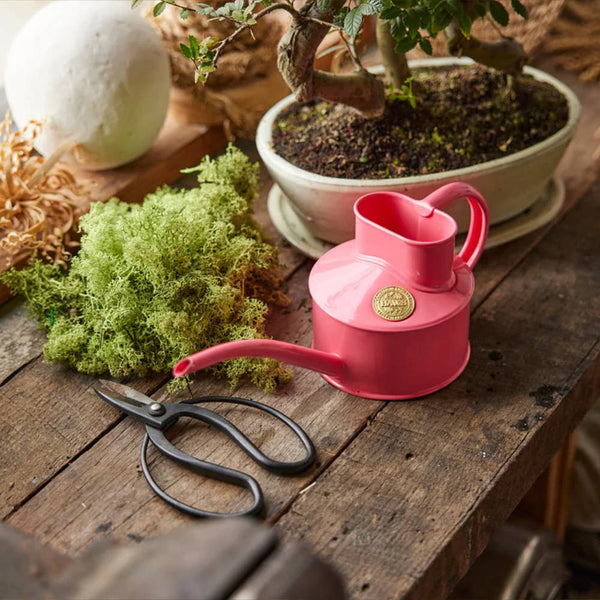 Fazeley Flow Peppercorn Pink Watering Can 1 Pint