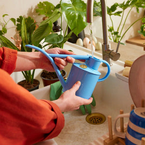 Fazeley Flow Sky Blue Watering Can 2 Pint