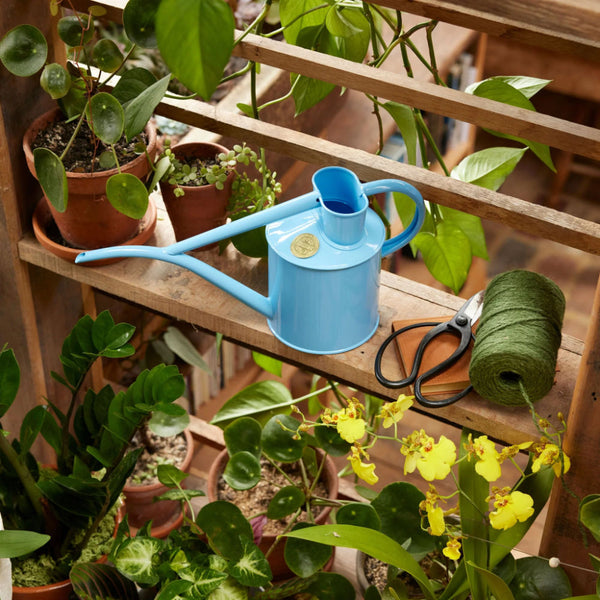 Fazeley Flow Sky Blue Watering Can 2 Pint