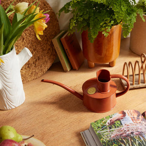 Fazeley Flow Terracotta Orange Watering Can 1 Pint