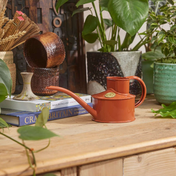 Fazeley Flow Terracotta Orange Watering Can 1 Pint