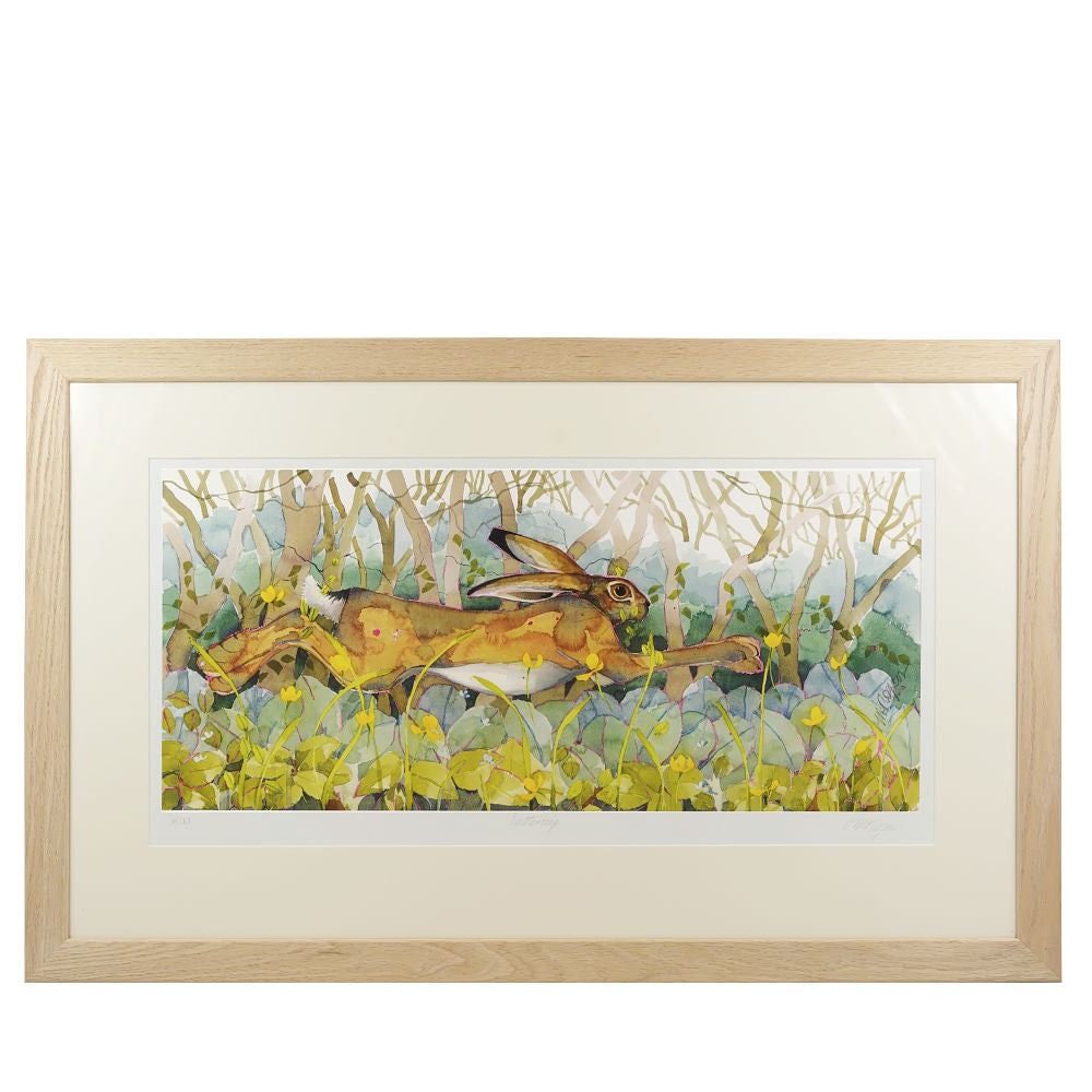 Buttercup Hare Art Print Framed Limited Edition