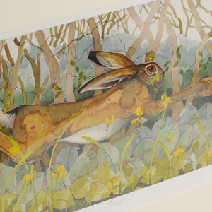 Buttercup Hare Art Print Framed Limited Edition