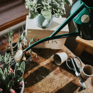Rowley Ripple Green Watering Can 2 Pint