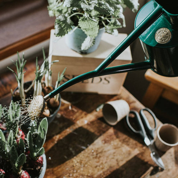 Rowley Ripple Green Watering Can 2 Pint