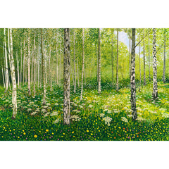 Silver Birch Copse Art Print Limited Edition