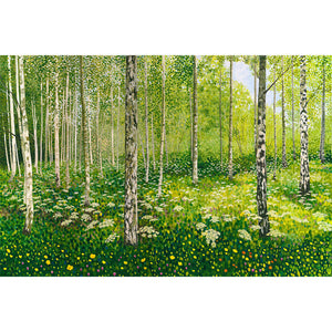 Silver Birch Copse Art Print Limited Edition