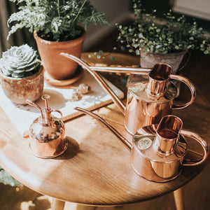 Smethwick Copper Spritzer Plant Mister